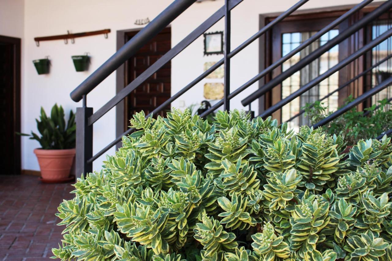 Hotel Rural Molino Del Albaicin Sabiote Εξωτερικό φωτογραφία